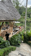 Tourist dining and sightseeing activity captured at Tegallalang rice terraces