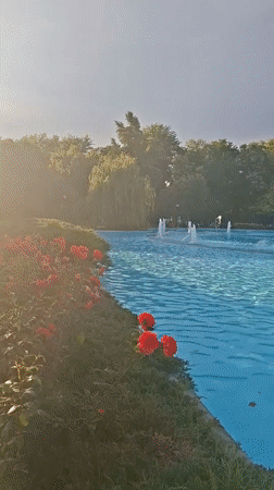 Evening fountain display draws observers in Plovdiv park