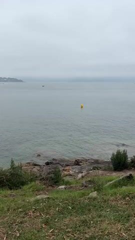 The video shows a view of a body of water on a cloudy day. In the foreground, there is a grassy slope with some dry leaves and patches of bare earth. A rocky shore with some green bushes is visible along the edge of the water. The water itself is calm with small ripples. A single yellow buoy floats in the middle distance. Further out, a small boat is visible on the horizon. The sky is overcast and appears muted. The overall impression is of a quiet, possibly cool, coastal scene. There are no people or significant actions depicted in the video.
