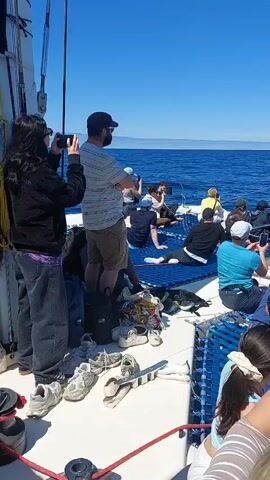 The video shows a group of people on a boat looking out at the ocean. The boat appears to be a catamaran with a blue mesh seating area. The passengers are mostly seated or kneeling, facing forward towards the horizon. Some are holding up phones, possibly taking pictures or videos. The sea is a deep blue, and in the distance, there's a view of land, possibly a coastline with buildings. The sky is clear and blue. The passengers seem to be casually dressed, and there are personal belongings scattered around, like shoes and backpacks. The general atmosphere seems relaxed and focused on the view.