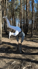 Person exercises and relaxes in Russian pine forest