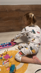 A quiet evening at home: toys, cats, and ant farms