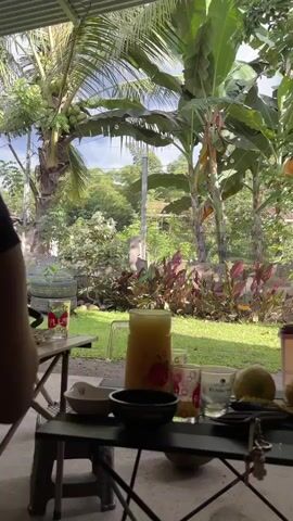 A person's left arm and hand are visible on the left side of the frame. They are wearing a bracelet. The hand is reaching for an object on a black folding table. On the table, there is a tall glass of orange juice with red apple designs on it, a smaller clear glass, two lemons, a black bowl, a white bowl, and a pink and clear plastic container. The background shows a lush green garden with banana trees and other foliage. Sunlight filters through the leaves.
