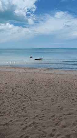 Early morning swimmers enjoy calm waters at Thai beach
