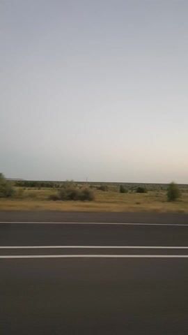The video shows a side-view of a road. The road has a dark asphalt surface with two white lines marking the lanes. To the left of the road is a landscape with dry grass and scattered trees. The sky is overcast and pale. The video appears to be shot from a moving vehicle.