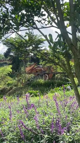 A drone view pans across a lush green garden with vibrant purple flowers in the foreground. In the mid-ground, a large, wooden dragon sculpture rests on a raised platform. The background features dense foliage and trees under a bright, partly cloudy sky.