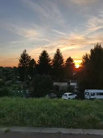 The video captures a sunset over a residential area. In the foreground, a grassy embankment slopes down towards a road. Several cars are parked along the road, including a white van, a white hatchback, and at least two dark-colored sedans. Behind the cars, a line of evergreen trees and other foliage forms a natural barrier. In the background, houses and other structures are visible, partially obscured by the trees. The sky is filled with a dramatic sunset, with the sun setting just above the horizon, casting a warm orange and yellow glow. Wispy clouds streak across the sky, reflecting the sunset colors. The overall scene depicts a tranquil evening in a suburban or rural setting.