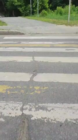 The video begins with a close-up of a pedestrian crossing with visible cracks. The camera then pans slightly to reveal a paved path leading uphill, bordered by grass and trees. A white sign with blue and red circular symbols is visible in the background, indicating pedestrian rules. As the video progresses, two young girls, one in a pink jacket and purple pants with a colorful backpack, and another in a pink hoodie and red pants, walk towards and then across the pedestrian crossing. The first girl is slightly ahead of the second. They are walking in the same direction, from right to left in the frame, and do not interact with each other. The environment appears to be a park or a similar outdoor area with ample greenery.