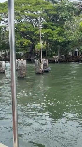 Morning boat ride recorded along Habaraduwa river, Sri Lanka