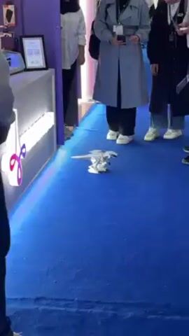 The video shows a small, white, robotic dinosaur walking on a blue carpet. Several people stand nearby, observing the robot. The setting appears to be a convention or exhibition, as suggested by the booth structure and the general attire of the people. The booth is painted in purple and white.  A QR code can be seen on a framed sign next to a light-up sign.