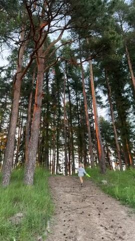A young child runs up a dirt path through a forest. Tall pine trees surround the path, with sunlight filtering through the branches and casting a warm glow on some of the tree trunks. The path is uneven and covered with loose dirt and pinecones. The child is wearing a light-colored shirt and shorts. The camera is positioned low to the ground, looking up at the child and the trees.