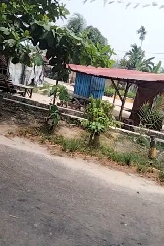 The video shows a side view of a white car, possibly a minivan, parked outside a building with a corrugated metal roof. There is also a grassy area with some trees and vegetation. The video is shaky, indicating it may have been filmed while moving. The license plate of the car is partially visible, showing "BI 118 BD". The overall scene appears to be a rural or suburban area.