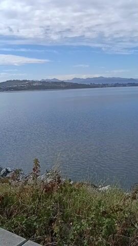 The video shows a body of water, a lake or bay, with a distant shoreline and mountains visible under a sky with scattered clouds. The water is a dark blue-gray color, reflecting the sky. In the foreground, there is some vegetation, including grass and small shrubs, growing on a rocky embankment. A bird flies by in the sky.