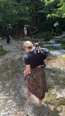 The video shows a woman walking through a shallow, clear stream in a lush, forested area. She is carrying a small dog on her back, which is perched on her shoulders. The dog is black and white and appears to be a small breed. The woman is wearing a black crop top and a leopard print skirt. Her feet are bare as she wades through the water, which is about knee-deep.

In the background, other people can be seen further up the stream, near the edge of the forest. One person is wearing a black hooded garment and holding a stick, while another person is wearing a white shirt and shorts. A small waterfall or cascade is visible to the right of the frame, indicating the natural setting is a river or stream with some elevation change. The trees are full of green leaves, suggesting a warm season, and the sunlight filtering through the canopy indicates it is daytime. The overall atmosphere appears peaceful and natural, with the sound of the flowing water creating a serene ambiance.
