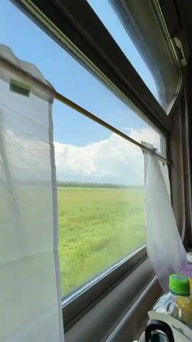 The video is shot from inside a moving train, looking out the window. White curtains are partially drawn on the left and right sides of the window. The window shows a vast, green, grassy field under a bright blue sky with fluffy white clouds. In the distance, there is a line of trees. A thin yellow rod is holding the curtains back. On the right side of the window, inside the train, there are a few objects visible, including a green-capped bottle and another bottle with a purple label. The train appears to be traveling at a steady pace, as evidenced by the slight blur of the passing landscape.