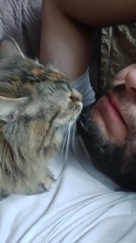 Domestic pets show affection in quiet morning moments
