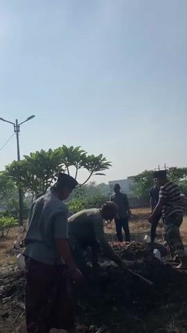 The video shows a group of men gathered at a burial site on a bright, sunny day. Several men are actively shoveling and handling dirt around what appears to be a fresh grave. They are dressed in a mix of casual clothing and traditional attire. Some of the men are wearing caps and others are just observing the activity. The cemetery is in a grassy area with a few small trees and gravestones visible in the background. A street light is also present in the scene.