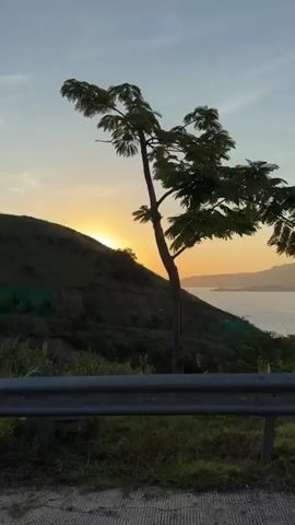 The video shows a scenic view from a road, seemingly taken from a moving vehicle. The scene captures a sunset over a body of water, possibly a bay or a large lake, with hills and mountains in the background. The sun is setting behind a hill, casting a warm glow over the water and sky. There is a metal guardrail along the side of the road, and various trees and vegetation are visible in the foreground and on the slopes. As the video progresses, the view shifts along the road, revealing more of the landscape and elements such as a street lamp and roadside markers. The sky is a mix of light blue and yellow-orange hues due to the setting sun. The overall environment suggests a rural or coastal area during late afternoon or early evening.
