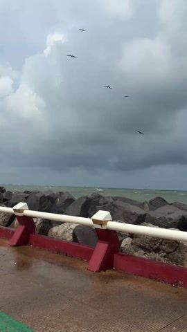 Here's a description of the video:

The video shows a long, straight pier leading into the ocean under a cloudy sky. The pier has a red and white railing on either side, with large rocks lining the edge. The surface of the pier is wet, reflecting the sky. Several dark birds fly in formation above the pier. In the distance, a small structure that appears to be a lighthouse or similar navigational aid stands at the end of the pier. Waves are visible crashing against the rocks along the sides of the pier.