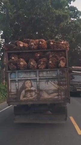 A truck loaded with palm fruit bunches is traveling on a road. The side of the truck features a mural of a reclining woman with dark hair and a light-colored garment, positioned against a backdrop of palm trees and a body of water. The truck is moving forward, and the surrounding environment appears to be a rural or natural setting with trees lining the road.