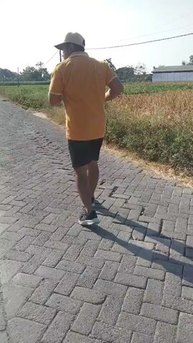 A man wearing a yellow t-shirt, black shorts, a baseball cap, and athletic shoes is walking away from the camera on a paved path. The path is made of interlocking bricks and is bordered by vegetation and fields. The sun is shining brightly, casting shadows on the ground. The man appears to be in a rural or suburban area.