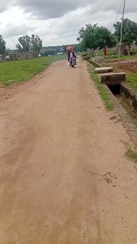A motorcycle is seen riding down a dirt road. Two people are on the motorcycle. The person in the back is carrying a large, round, light brown object on their head. The road is lined with grass and vegetation. In the background, there are houses and trees. The sky is cloudy.