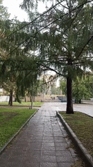 Around Ascension Cathedral on a rainy Novosibirsk morning
