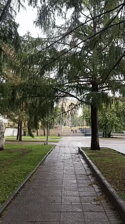 Around Ascension Cathedral on a rainy Novosibirsk morning