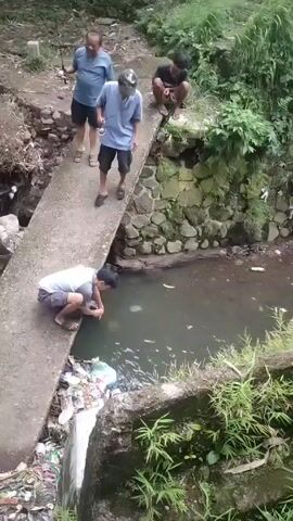 Four men are gathered near a small, murky body of water. One man is crouched at the edge, near some trash, possibly looking into the water. Two men are standing on a narrow concrete bridge, one holding a fishing rod. Another man is crouching on a mossy stone wall next to the water. The area is surrounded by foliage. The water is dark and still. The weather appears overcast.