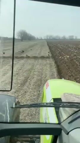 The video, shot from inside a cab, shows a green and white CLAAS tractor driving through a muddy field. The field has been partially plowed, with dark brown turned soil on one side and lighter, untilled land on the other. Bare trees are visible in the distance under a cloudy sky. A hand can be seen on the steering wheel, indicating someone is driving the tractor.