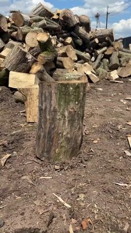 This media file shows a person chopping firewood in a rural setting. The main subject is a large pile of chopped logs in the background, and a thick log standing upright in the foreground, which is about to be chopped. An axe is shown in mid-swing, poised to strike the log. The ground is covered in dirt, with smaller pieces of wood scattered around. The scene appears to be outdoors, with a bright sky and some clouds visible in the distance. There are no people clearly visible in the frame. The overall atmosphere suggests a practical, agricultural activity taking place, likely in a rural area given the presence of the firewood pile. The time of day appears to be daytime, possibly late morning or early afternoon, given the lighting conditions. There is no visible text in the media file. The location is identified as Chyshky, Ukraine.