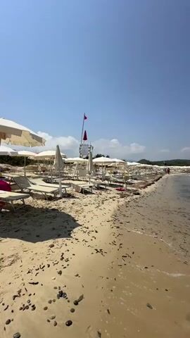 A vertical, full-shot video begins by showing a sandy beach with many empty lounge chairs and umbrellas set up. The water gently laps at the shore, and there are some pieces of seaweed scattered on the sand and in the water. In the distance, a few people can be seen walking along the beach, and a lifeguard stand with red flags is visible. The sky is clear and blue, with some distant green hills in the background. The video pans slightly to the right, revealing a sailboat on the water. The scene appears to be a peaceful and sunny day at a beach resort.