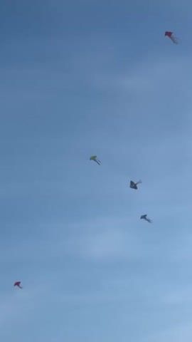 The video shows a clear blue sky with five kites flying. One kite is red and located in the upper right corner of the frame. Another kite is green and located above the middle of the frame. There is a group of three kites closer to the bottom of the frame. They are a brownish color, gray-blue and red colored respectively. The kites are moving in the wind, and the sky is clear.