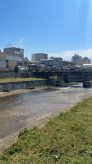 Morning river scenes with mountain cross documented by witnesses
