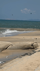 Daytime beach scene recorded at Mũi Né, Vietnam