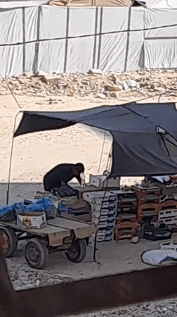 Daily life continues across a Khan Yunis displacement camp