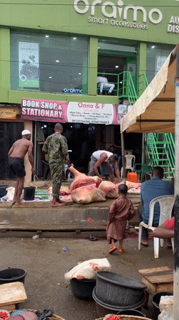 Daily market life documented in Ikorodu, Nigeria