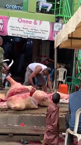 Daily market life documented in Ikorodu, Nigeria