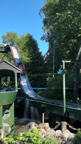 The video shows a log flume ride at an amusement park on a sunny day. In the first frame, a log raft with several passengers is descending a steep drop, about to splash into the water. The raft is dark brown, and the passengers are blurred due to motion. In the subsequent frames, the raft is submerged in a large splash of water, creating a white mist that obscures the riders. The ride structure is green and gray, with metal supports and a track overhead. Lush green trees and foliage surround the ride. A white swan sculpture is visible on a pole in the background of the first frame. The water below the drop churns and splashes vigorously.
