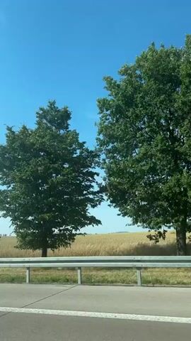 A video taken from a vehicle traveling on a highway. The camera is pointed towards the right side of the road, showing a rural landscape. The landscape includes a field of dry grass or crops, a line of trees, and several wind turbines in the distance. The sky is clear and blue with a few scattered clouds. A metal guardrail separates the highway from the field. The video shows a continuous, panning view of the scenery as the vehicle moves. No people are visible in the frame.