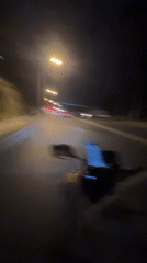 Motorcycle ride and a beagle close-up in Karon, Thailand