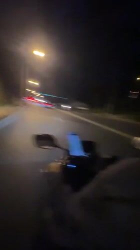 Motorcycle ride and a beagle close-up in Karon, Thailand