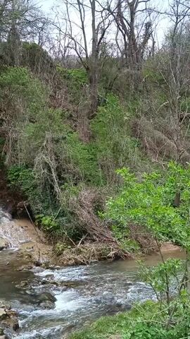 The video shows a scenic view of a waterfall cascading into a stream. The waterfall flows down a rocky cliff covered with vegetation, including trees, bushes, and moss. The stream is clear and flows over rocks. The overall environment appears to be a natural, forested area. The sky is overcast, suggesting a cloudy day.