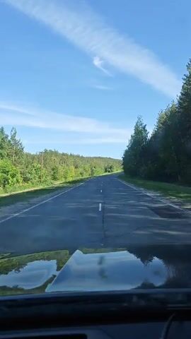 The video shows a view from inside a car driving on a two-lane road through a forested area. The road has a white line down the center. The sky is blue with long, wispy clouds. There are trees on both sides of the road. In the foreground, the hood of the car is visible, reflecting the sky.  There are utility poles visible among the trees.