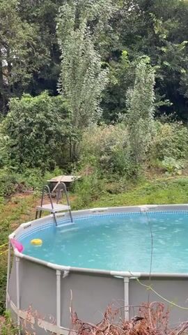 The video shows an outdoor scene, likely in a backyard. A round, above-ground swimming pool filled with clear blue water is prominently featured in the foreground. The pool has a silver-colored frame and a ladder with steps leading into it. A yellow pool float is visible in the water. The surrounding area is overgrown with lush green vegetation, including trees and bushes. In the background, there appears to be a garden area with some fencing and what looks like vegetable plants. The weather is rainy, with visible raindrops hitting the surface of the pool and the surrounding ground. The sky is overcast, suggesting it is likely daytime, possibly late afternoon or evening, given the lighting. There are no people visible in the video. The overall mood is serene and peaceful, despite the rain, perhaps suggesting a quiet moment in nature. The location context provided is Qaragaly, Kazakhstan, which is consistent with the rural or semi-rural setting depicted.