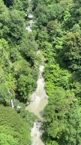 This video is an aerial view of a fast-flowing river surrounded by lush green trees. The river appears to be moving through a rocky gorge, with some smaller waterfalls visible on the sides. The water is murky, suggesting it is carrying sediment. The dense foliage indicates a natural, undeveloped environment. There are no people or man-made objects visible in the frame.