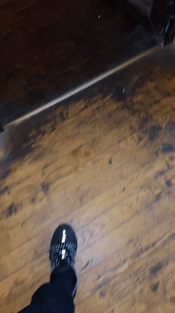 Indoor moments with grey parrot and footwear in Strelcha