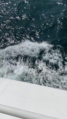 The video captures a dynamic view of the water from the side of a moving boat. The white hull of the boat is visible in the lower portion of the frame, serving as a clean, bright edge against the turbulent water. The boat's movement creates a significant wake of foamy, white, churning water that extends diagonally from the lower right of the frame towards the center. Beyond the immediate wake, the darker blue-green open water stretches out, shimmering with numerous reflections of sunlight that create bright, sparkling points across the surface. The scene is brightly lit, indicating daytime. There are no visible people or text in the video. The activity is clearly the forward motion of a boat through the water, generating the characteristic trail of disturbed water. The setting is an open body of water, likely the sea or ocean, in the vicinity of Punta de Araya, Venezuela.
