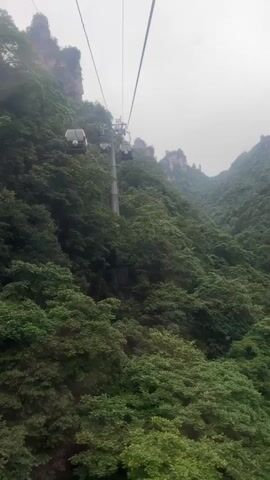 The video depicts a cable car ascending through a mountainous region with lush green foliage. The cable car, gray in color, is suspended by cables stretching upwards towards the summit.  A support tower for the cable system is visible amidst the dense trees.  In the distance, the tops of rock formations peek out above the vegetation. The sky is overcast, contributing to a subdued and slightly hazy atmosphere.