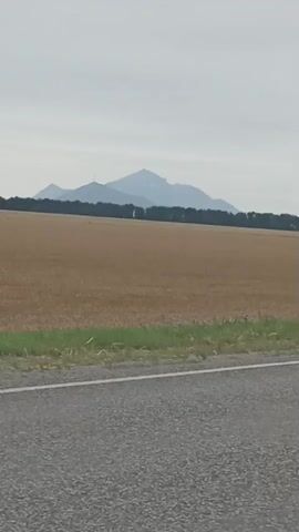 The video pans across a rural landscape under an overcast sky. In the foreground, a grey asphalt road with white lane markings is visible. To the left of the road is a strip of green grass and then a large, flat field of dry, harvested wheat stubble. In the distance, a line of dark green trees forms a horizon, and beyond that, a large, hazy mountain range is visible. The mountain range appears to have patches of snow on its upper slopes. There are no people or vehicles visible in the video. The overall impression is one of a quiet, agricultural area on a cloudy day.